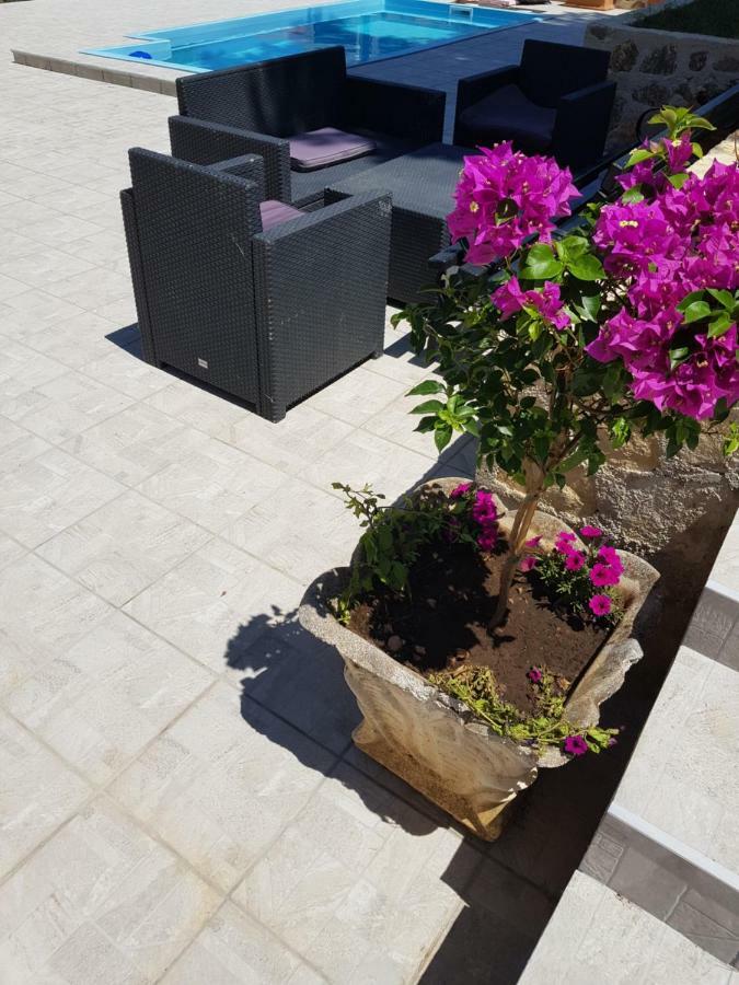 Holiday House "Villa Flora" Szybenik Zewnętrze zdjęcie